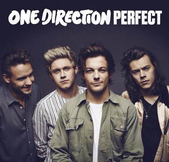 One Direction Release “Perfect” Music Video