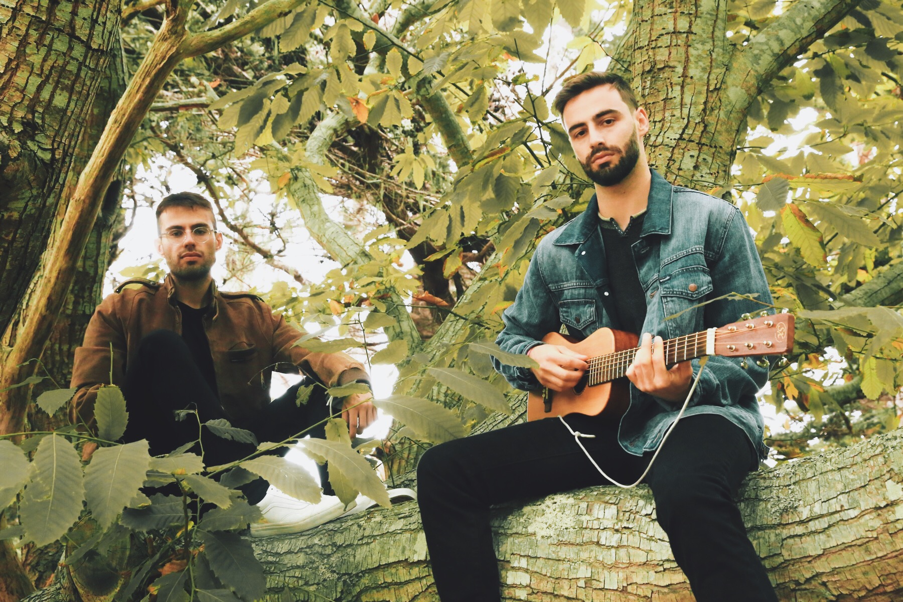 An interview with slenderbodies